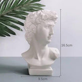 Vaso Hidropônico para Decoração Carpetino